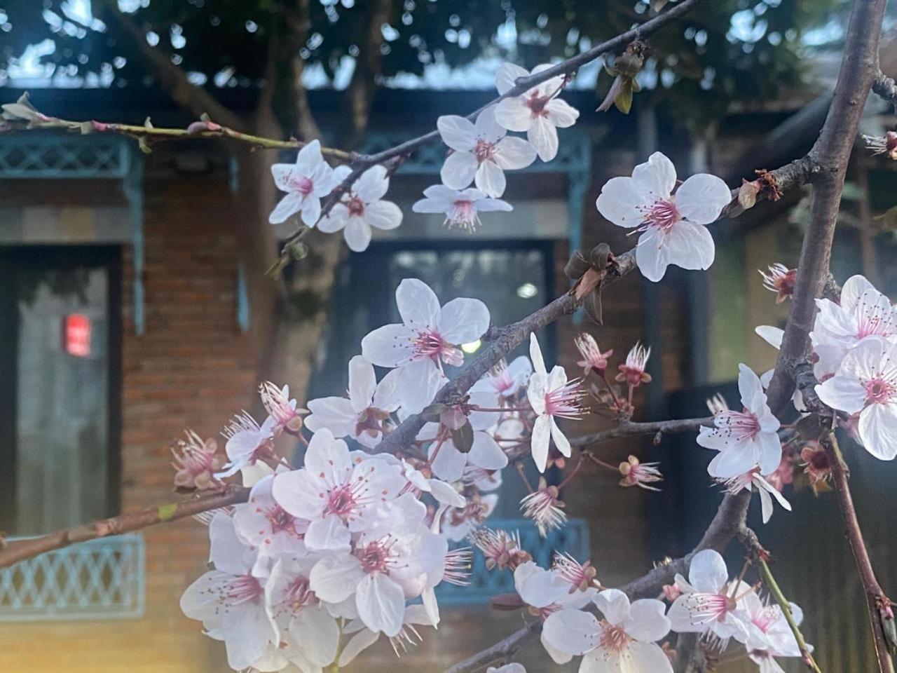 Hotel Varla คูทายสิ ภายนอก รูปภาพ